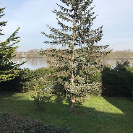 Une Nuit Sur Loire Treves-Cunault Экстерьер фото