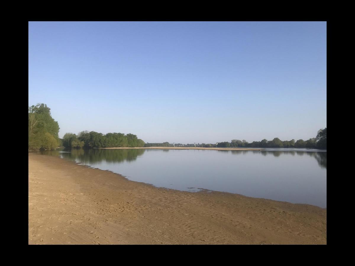 Une Nuit Sur Loire Treves-Cunault Экстерьер фото